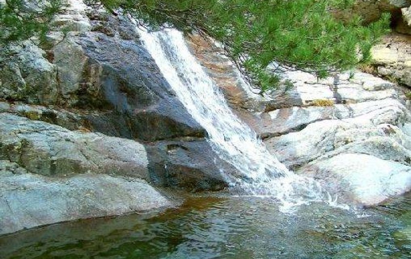 Location de vacances - Appartement à Corte