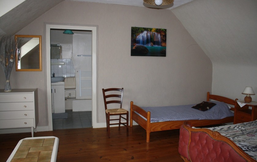 Location de vacances - Gîte à Chinon