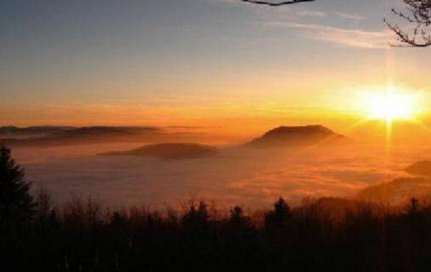 Location de vacances - Appartement à Bellefosse