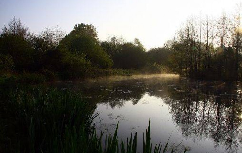 Location de vacances - Gîte à Saint-Quay-Perros
