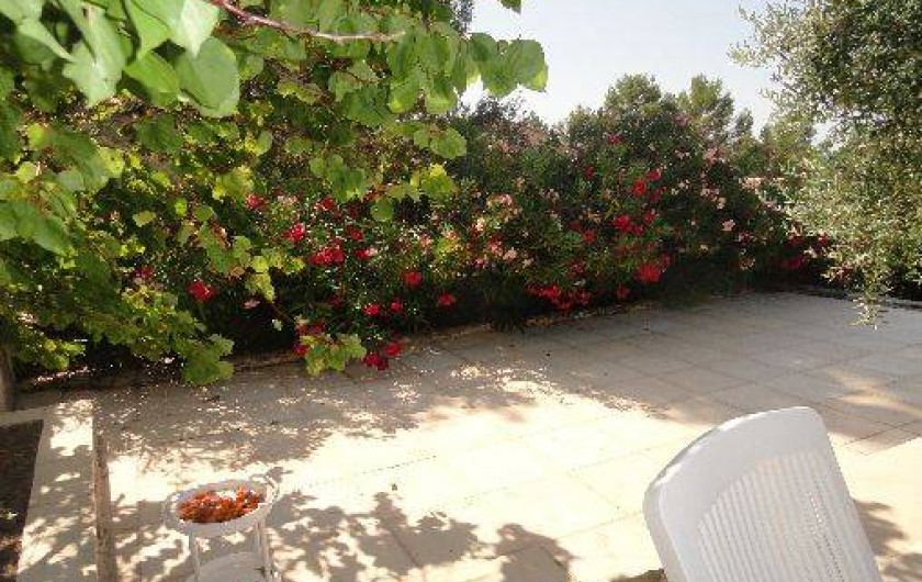 Location de vacances - Maison - Villa à Flayosc