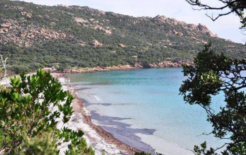 Location de vacances - Villa à Figari