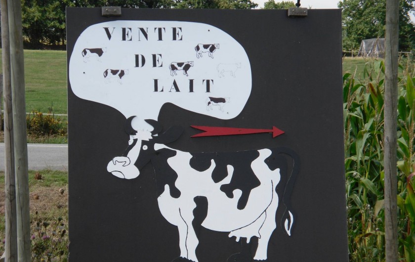 Location de vacances - Gîte à Baden