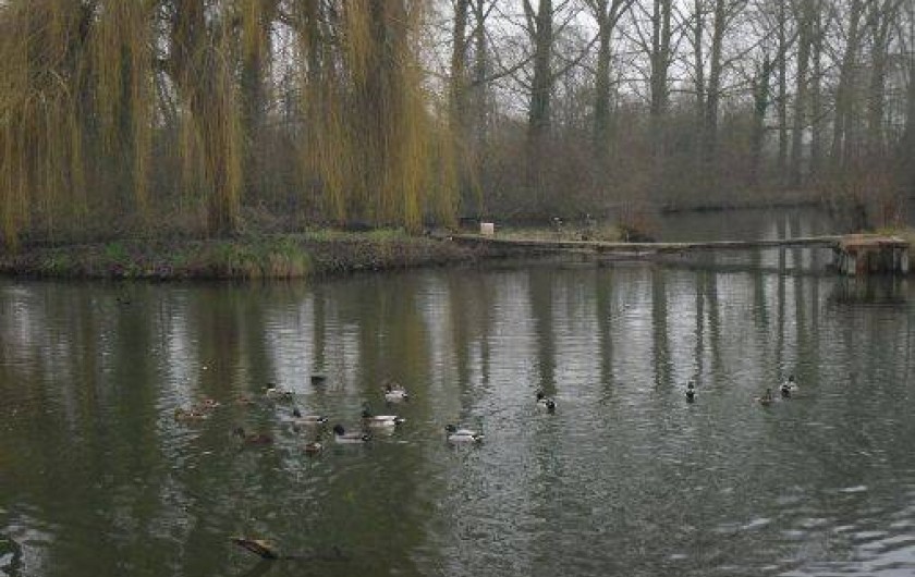 Location de vacances - Chalet à Saint-Christ-Briost