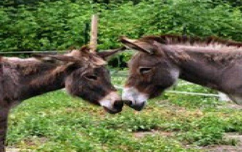 Location de vacances - Chambre d'hôtes à Romilly-sur-Andelle