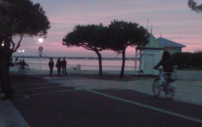 Location de vacances - Appartement à Arcachon