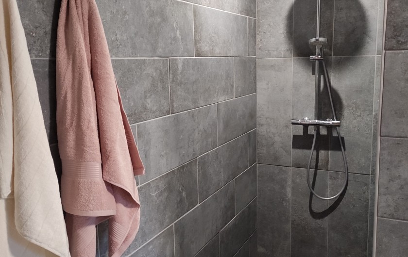 Location de vacances - Gîte à Anor - Salle de douche de l'étage