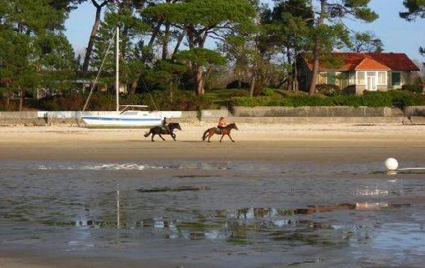 Location de vacances - Villa à Lanton