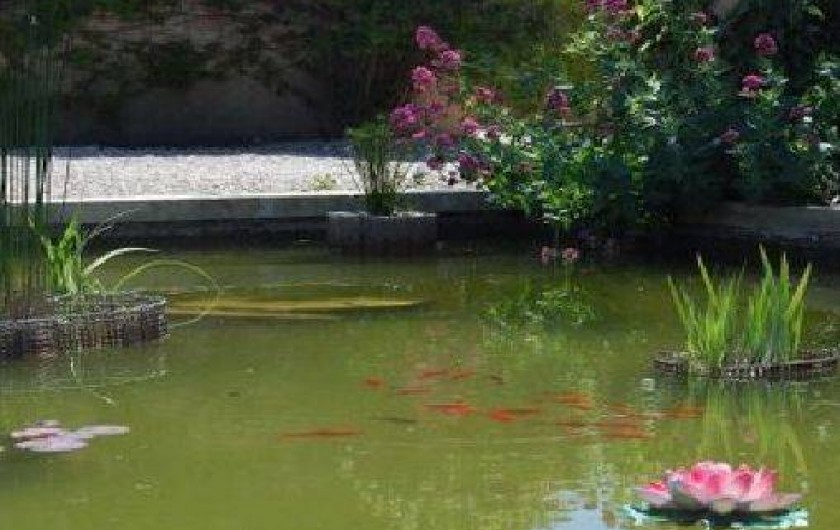 Location de vacances - Maison - Villa à Saint-Rémy-de-Provence