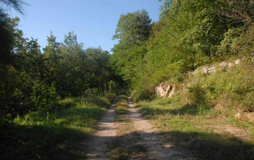 Location de vacances - Maison - Villa à Vinezac - Chemin d'acces