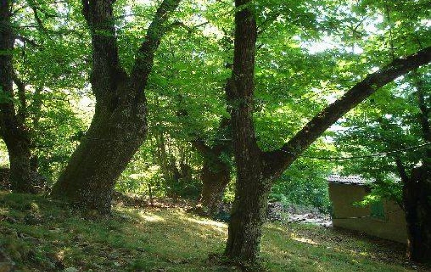 Location de vacances - Gîte à Saint-Mélany