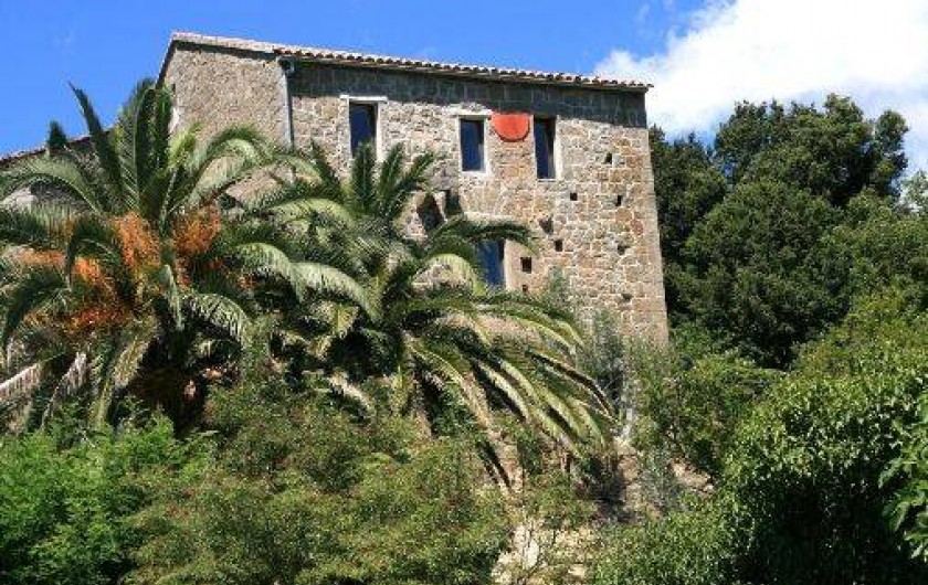 Location de vacances - Maison - Villa à Grosseto-Prugna