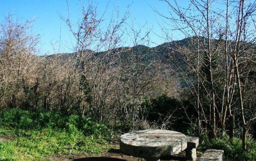 Location de vacances - Maison - Villa à Grosseto-Prugna