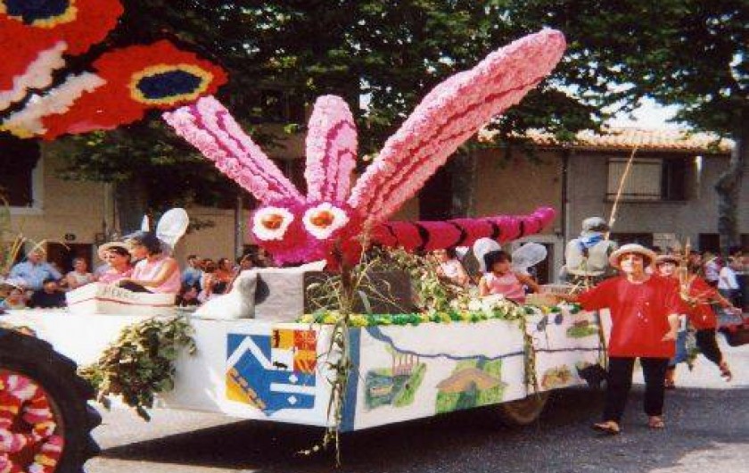Location de vacances - Gîte à Salles-sur-l'Hers