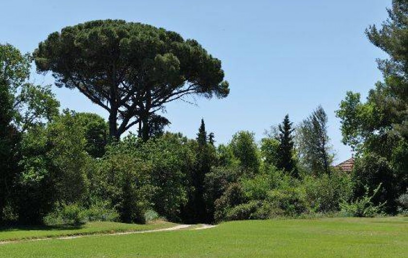 Location de vacances - Maison - Villa à Marseille