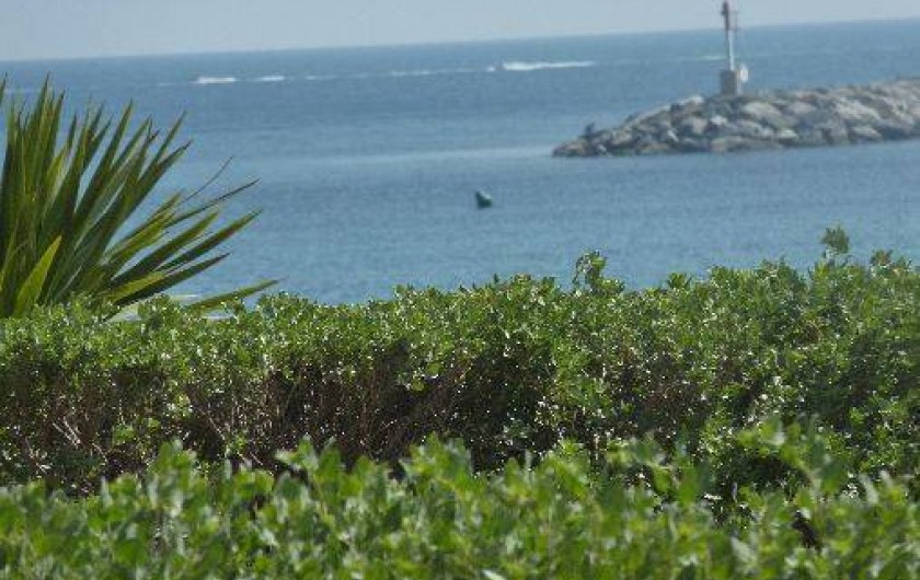 Location de vacances - Studio à Cavalaire-sur-Mer - Cavalaire sur Mer