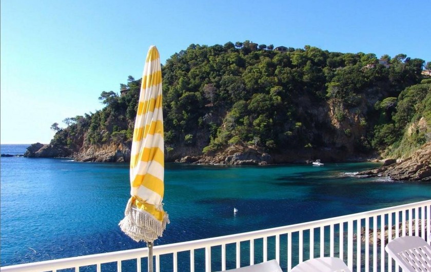 Location de vacances - Studio à Cavalaire-sur-Mer - Vue Mer