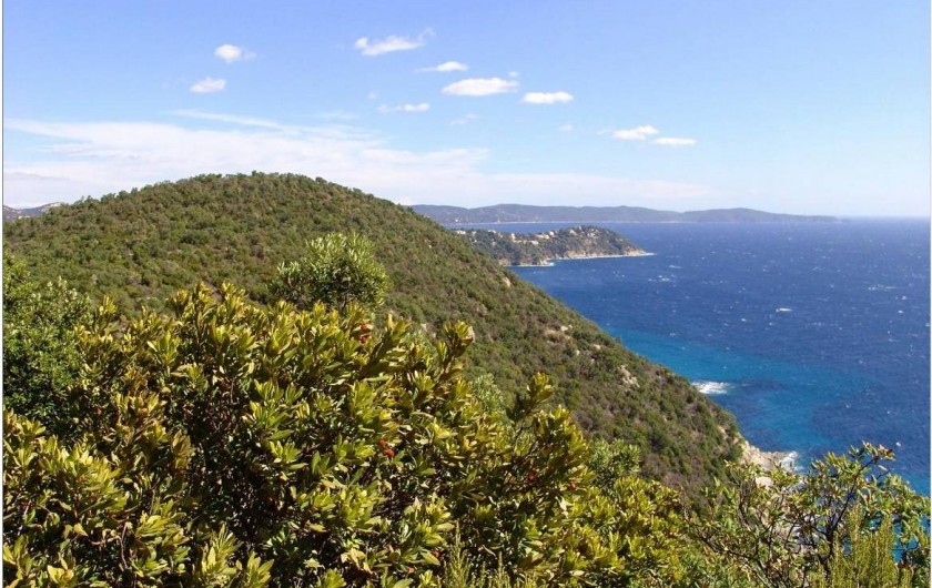 Location de vacances - Studio à Cavalaire-sur-Mer - Cavalaire sur Mer