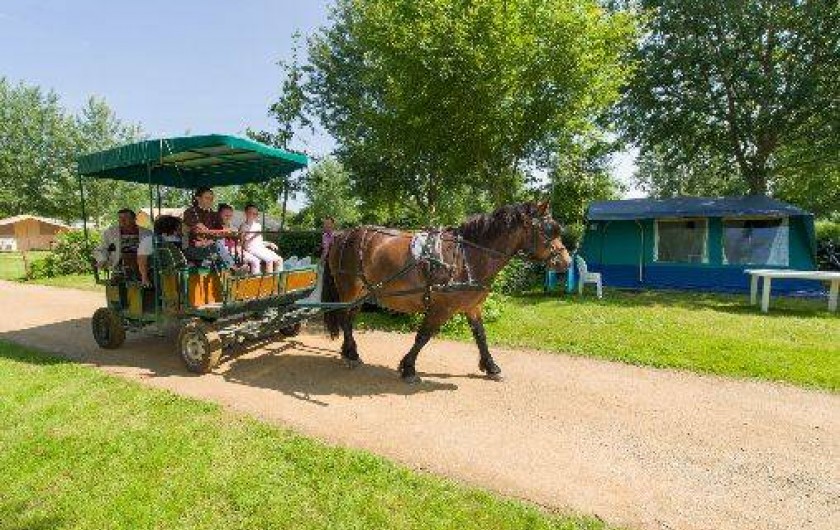 Location de vacances - Camping à Brissac-Quincé