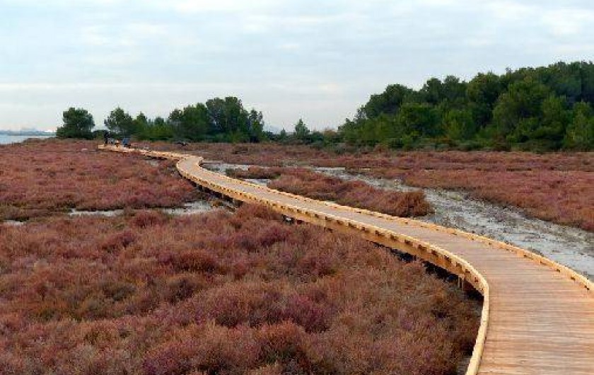 Location de vacances - Villa à Frontignan