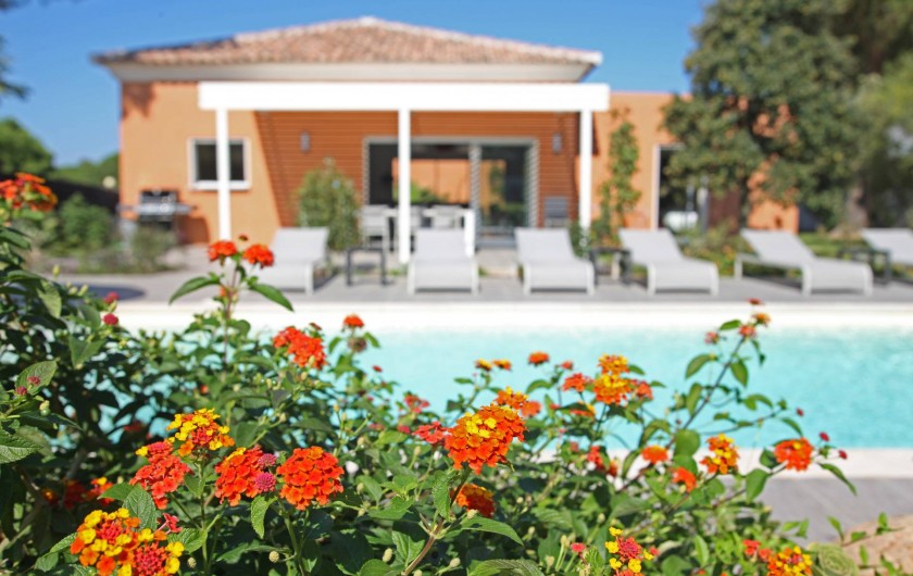 Location de vacances - Villa à Calvi - Villa 4 chambres avec piscine individuelle et privée - 1000m² de jardin