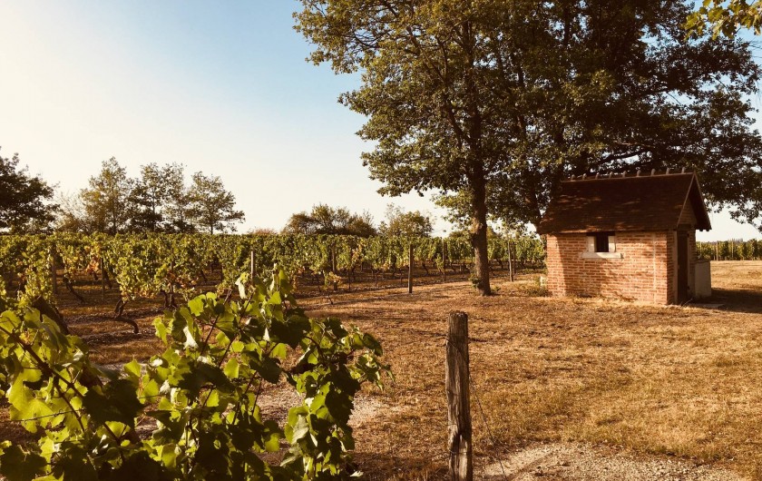 Location de vacances - Gîte à Saint-Pourçain-sur-Sioule