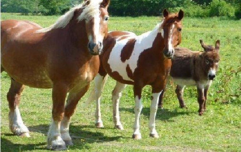 Location de vacances - Gîte à Bellengreville