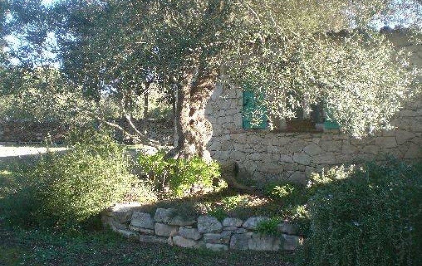 Location de vacances - Villa à Bonifacio