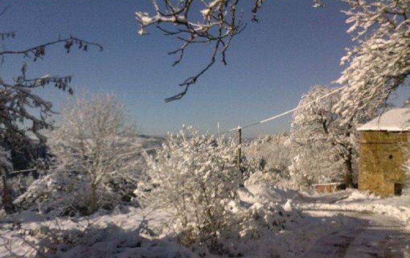 Location de vacances - Gîte à Condat-lès-Montboissier
