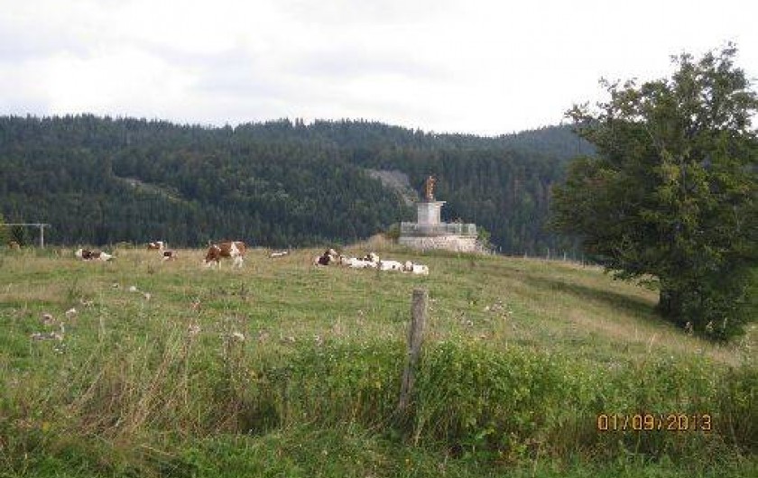 Location de vacances - Gîte à Bellefontaine