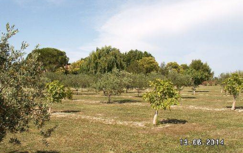 Location de vacances - Gîte à Tarascon