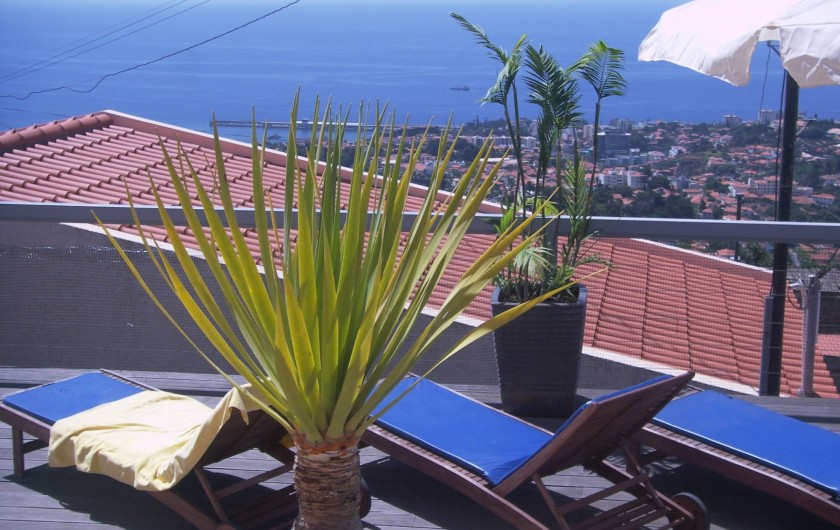 Location de vacances - Gîte à Funchal - Balcon vue mer