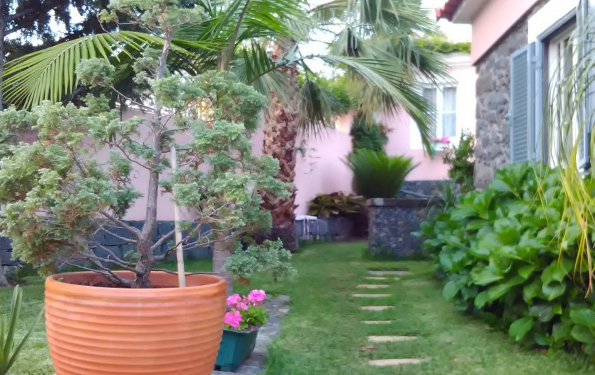 Location de vacances - Gîte à Funchal - Jardin et barbecue
