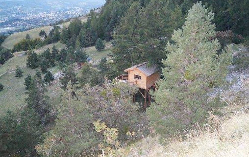 Location de vacances - Cabane dans les arbres à Gap
