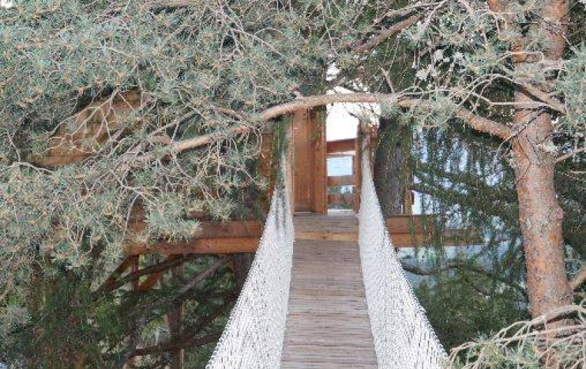 Location de vacances - Cabane dans les arbres à Gap