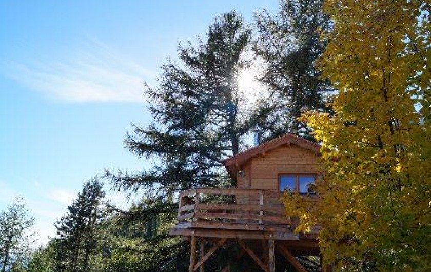 Location de vacances - Cabane dans les arbres à Gap