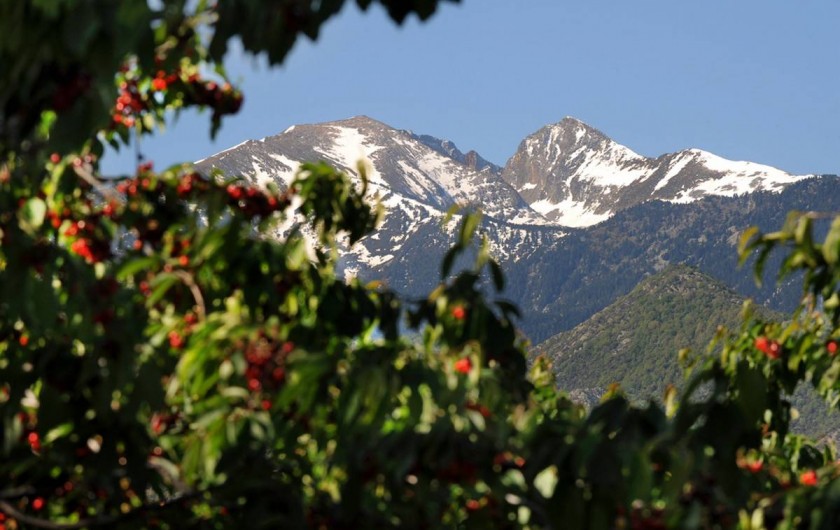 Location de vacances - Gîte à Rigarda - le mont Canigou vu du gîte  altitude :2784 m