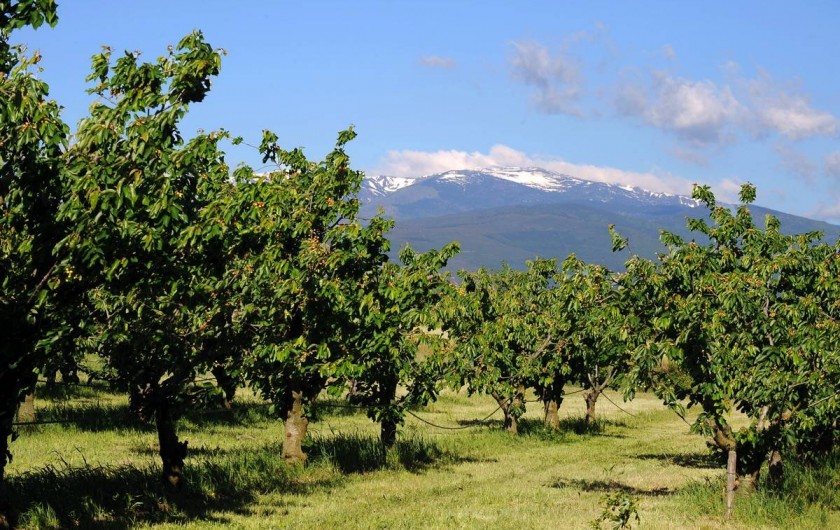 Location de vacances - Gîte à Rigarda