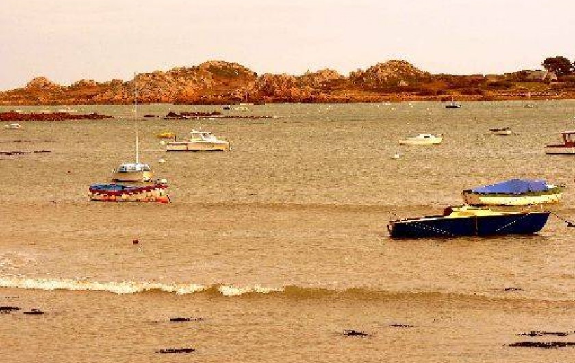 Location de vacances - Villa à Plougasnou