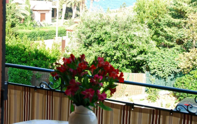 Location de vacances - Appartement à Saint-Aygulf - BLACON FLEURI DE L APPARTEMENT