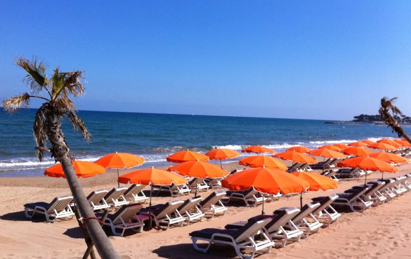 Location de vacances - Appartement à Saint-Aygulf - Une mer d’un bleu irréel et de grandes plages de sable.