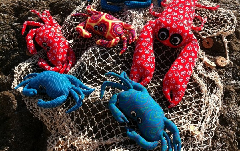 Location de vacances - Appartement à Saint-Aygulf - Retour de mer