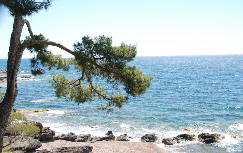 Location de vacances - Appartement à Saint-Aygulf - Petite crique allongée aux rives escarpées