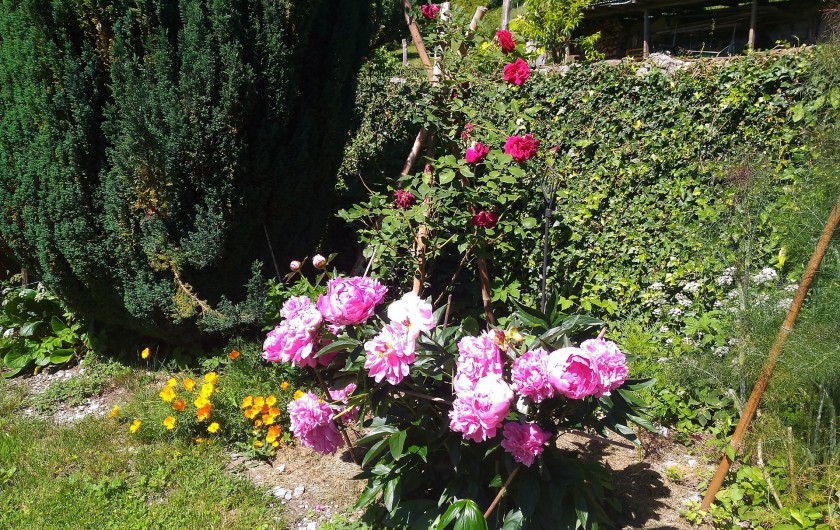 Location de vacances - Chambre d'hôtes à Montailleur