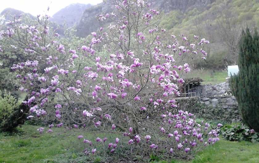 Location de vacances - Chambre d'hôtes à Montailleur