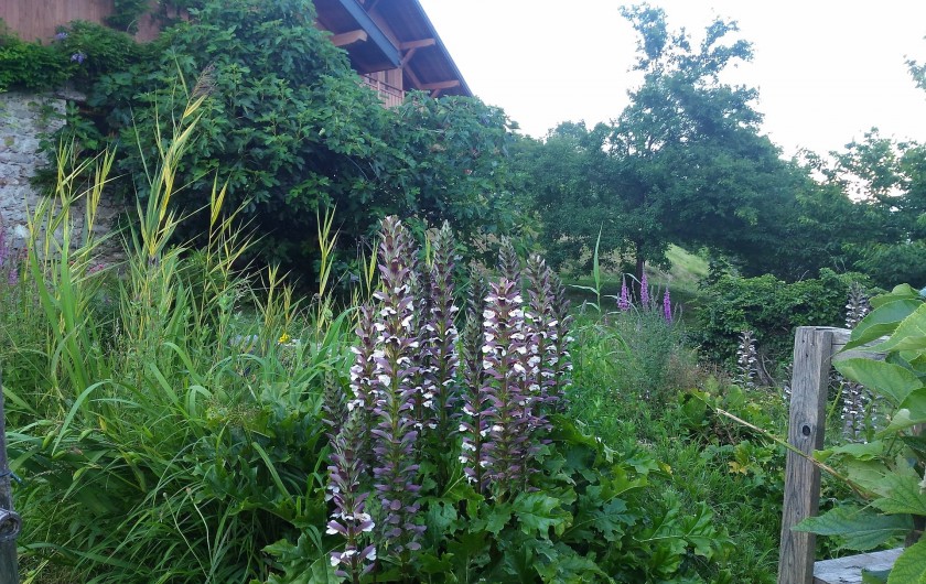Location de vacances - Chambre d'hôtes à Montailleur
