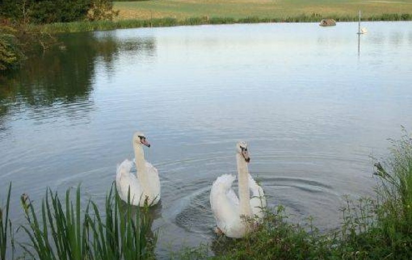 Location de vacances - Bungalow - Mobilhome à Montignac-de-Lauzun
