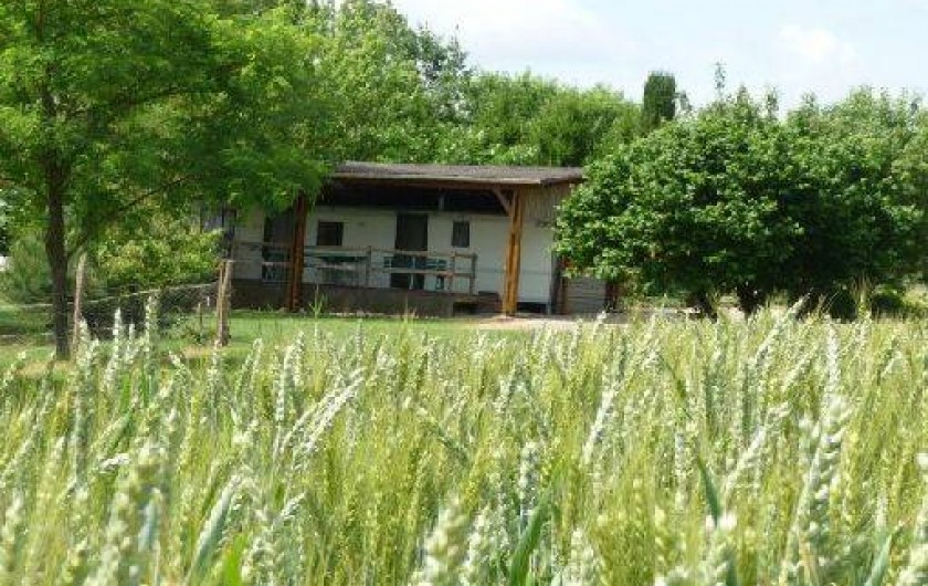 Location de vacances - Bungalow - Mobilhome à Montignac-de-Lauzun