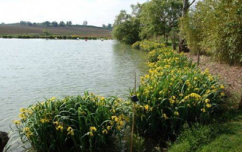 Location de vacances - Bungalow - Mobilhome à Montignac-de-Lauzun