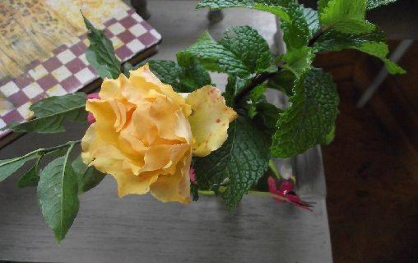 Location de vacances - Chambre d'hôtes à Voussac